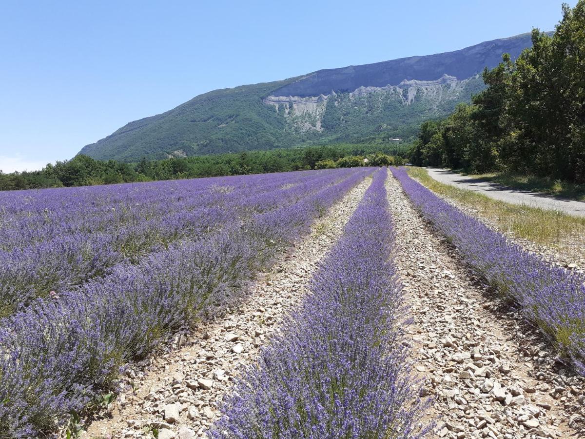 Bed and Breakfast Rose Des Alpes Сер Экстерьер фото